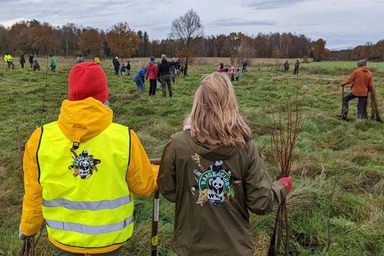 Nieuw bos geplant nabij Leuven met 50.000 bomen